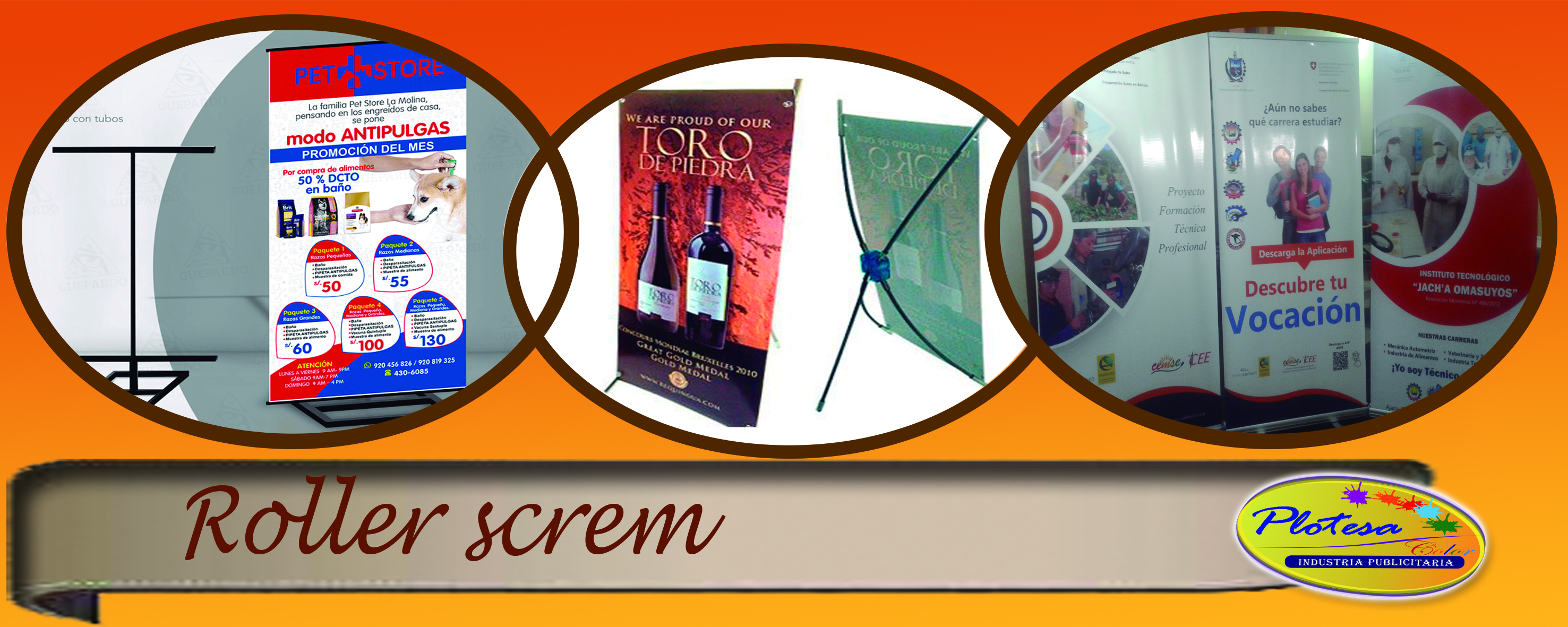 Servicios - plotesacolor